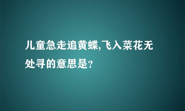 儿童急走追黄蝶,飞入菜花无处寻的意思是？