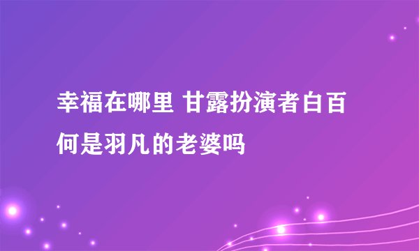 幸福在哪里 甘露扮演者白百何是羽凡的老婆吗