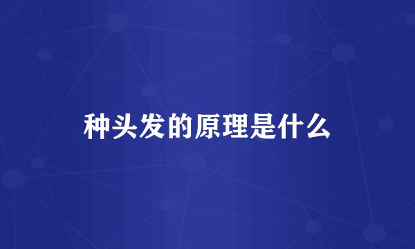 种头发的原理是什么