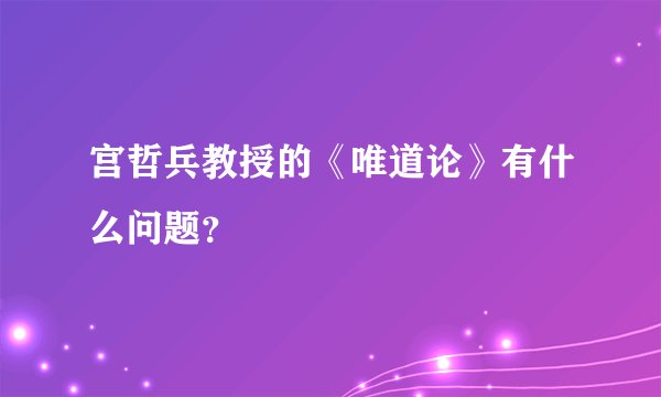 宫哲兵教授的《唯道论》有什么问题？