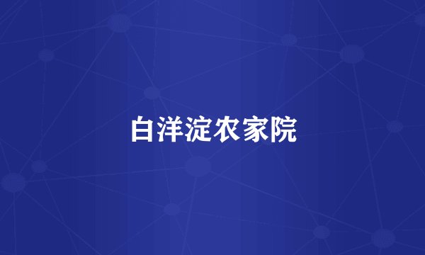 白洋淀农家院