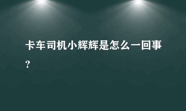 卡车司机小辉辉是怎么一回事？