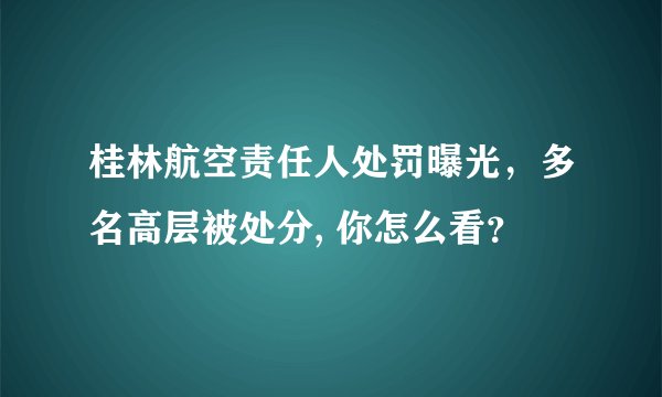 桂林航空责任人处罚曝光，多名高层被处分, 你怎么看？