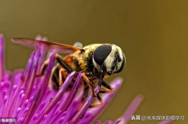 产品摄影怎么拍摄?