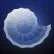 《ABZU》白金攻略 各奖杯攻略及通关感受