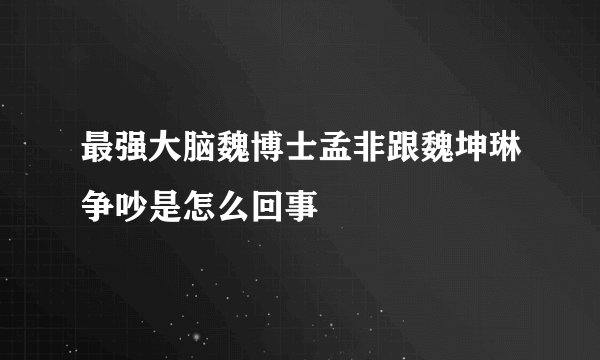 最强大脑魏博士孟非跟魏坤琳争吵是怎么回事
