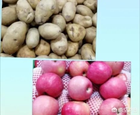 生活常识浅