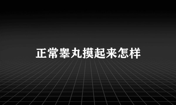正常睾丸摸起来怎样