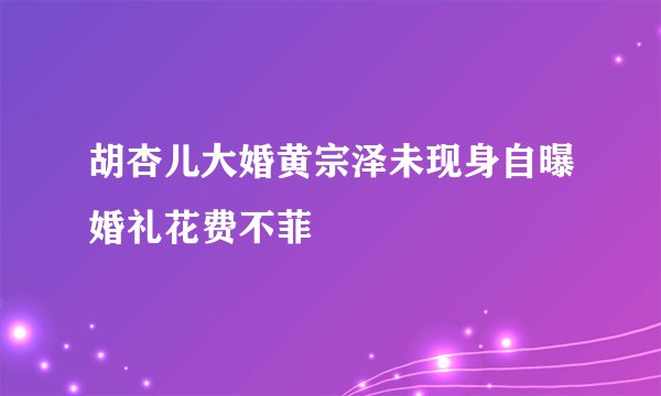 胡杏儿大婚黄宗泽未现身自曝婚礼花费不菲