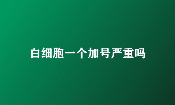 白细胞一个加号严重吗