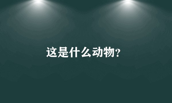 这是什么动物?