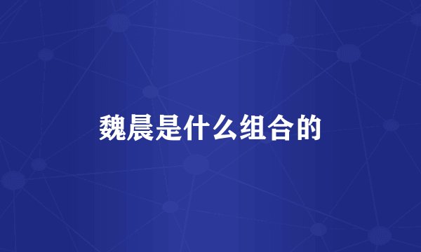 魏晨是什么组合的