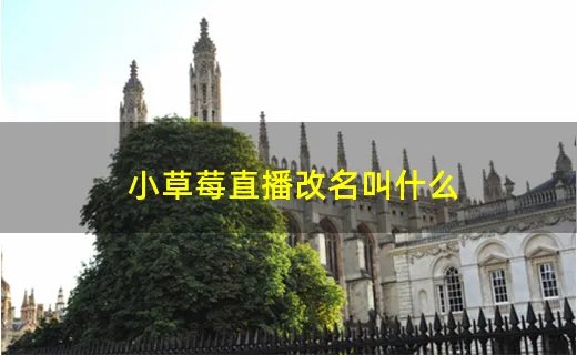 小草莓直播改名叫什么