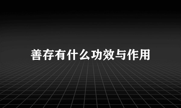 善存有什么功效与作用
