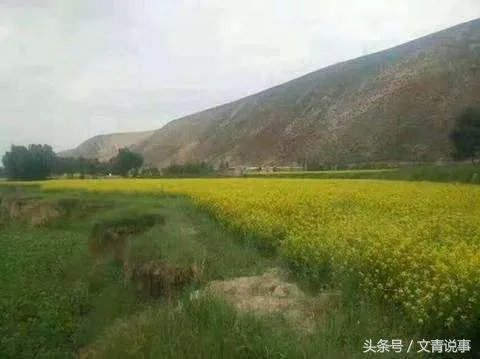 诸葛亮为什么躬耕隐居河南南阳卧龙岗？