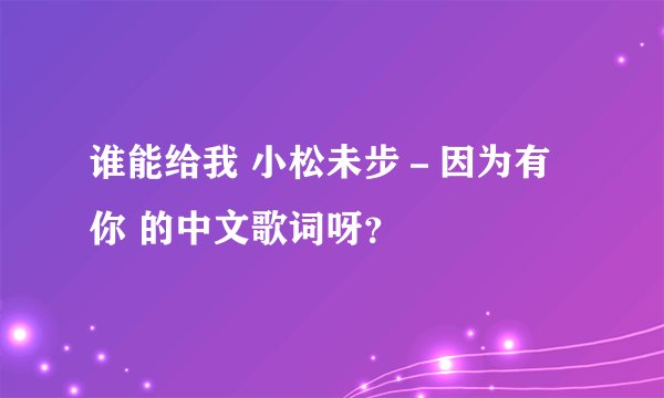 谁能给我 小松未步-因为有你 的中文歌词呀?