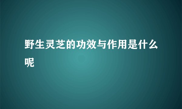 野生灵芝的功效与作用是什么呢