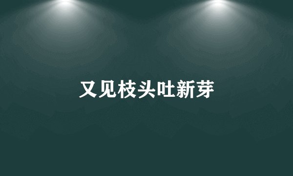 又见枝头吐新芽
