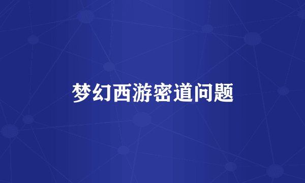 梦幻西游密道问题