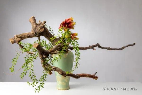 专业的花艺培训学校有么?我想学习一下插花