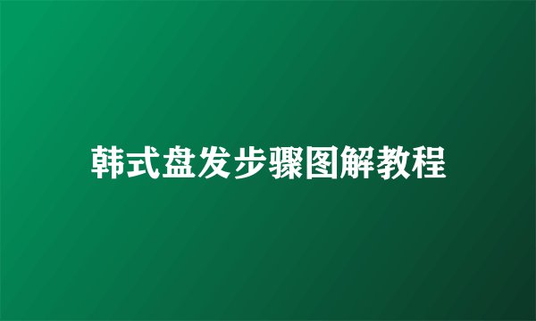 韩式盘发步骤图解教程