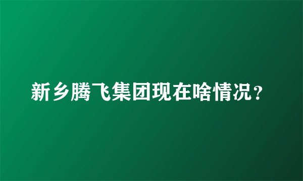 新乡腾飞集团现在啥情况？