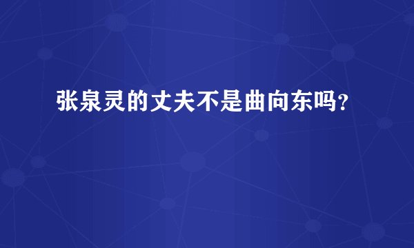 张泉灵的丈夫不是曲向东吗？