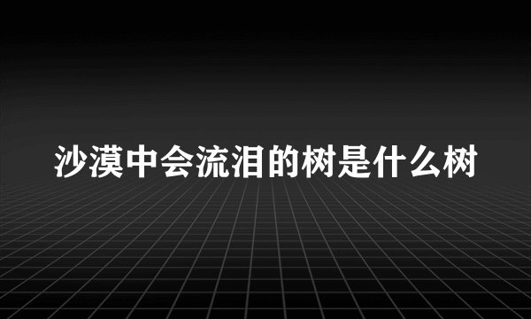 沙漠中会流泪的树是什么树
