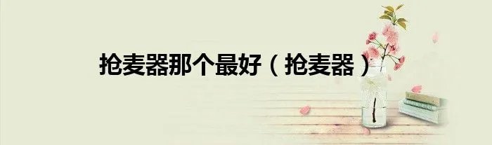 抢麦器那个最好（抢麦器）