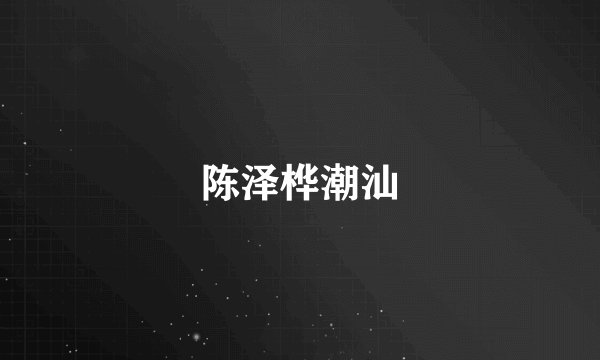 陈泽桦潮汕
