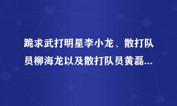 跪求武打明星李小龙、散打队员柳海龙以及散打队员黄磊的个人资料