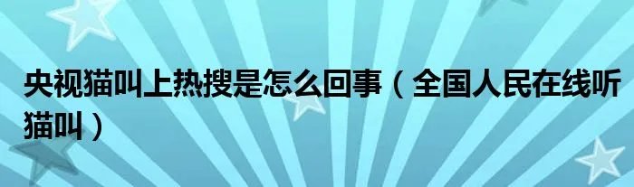央视猫叫上热搜是怎么回事（全国人民在线听猫叫）
