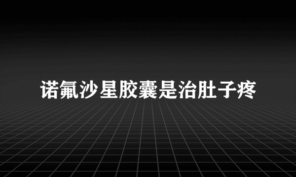 诺氟沙星胶囊是治肚子疼