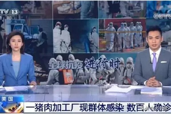 美国市场无肉可卖,为何养殖户却对猪进行安乐死,尸体堆积如山?