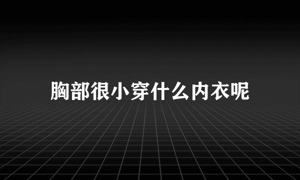 胸部很小穿什么内衣呢
