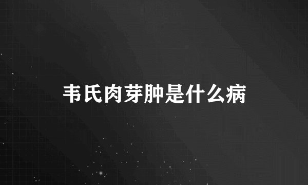 韦氏肉芽肿是什么病