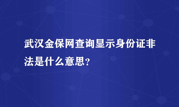 武汉金保网查询显示身份证非法是什么意思？