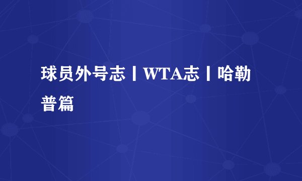 球员外号志丨WTA志丨哈勒普篇