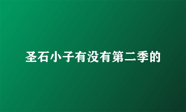 圣石小子有没有第二季的