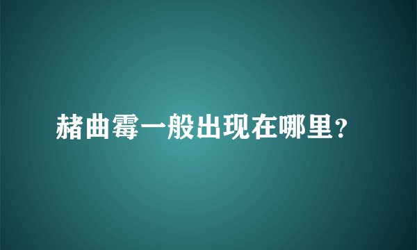 赭曲霉一般出现在哪里？