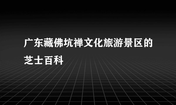 广东藏佛坑禅文化旅游景区的芝士百科