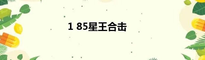 1 85星王合击