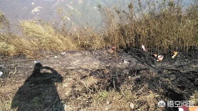 珠海凤凰山景区环境怎么样?值得一游吗?