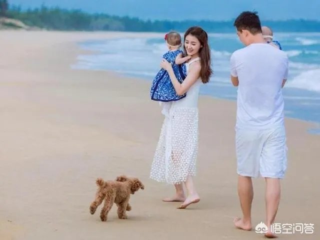 贾跃亭发表声明称目前美国有很多事情要他亲自推动，委托甘薇和贾跃民处理，你怎么看？