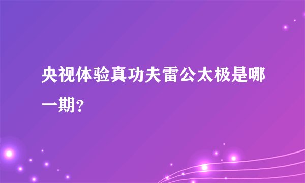 央视体验真功夫雷公太极是哪一期？