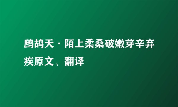 鹧鸪天·陌上柔桑破嫩芽辛弃疾原文、翻译