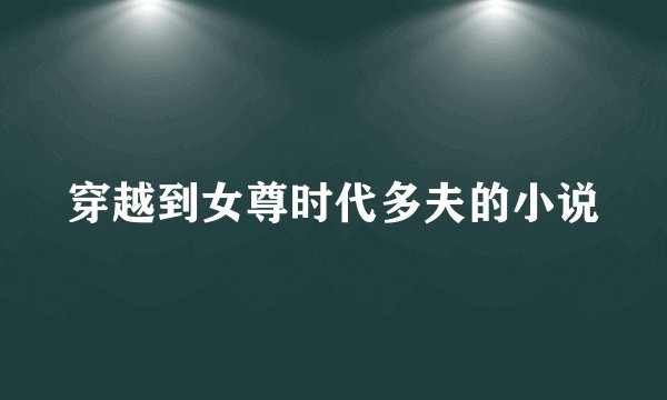 穿越到女尊时代多夫的小说