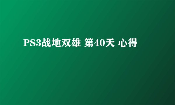 PS3战地双雄 第40天 心得
