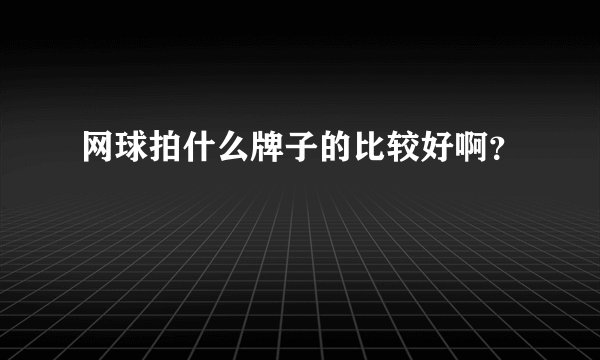 网球拍什么牌子的比较好啊？