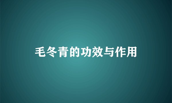 毛冬青的功效与作用